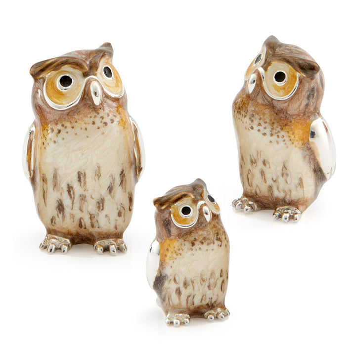 Saturno Silver & Enamelled Owl Family