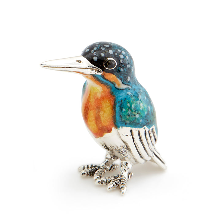 Saturno Silver & Enamelled Kingfisher Family