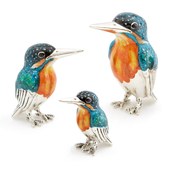Saturno Silver & Enamelled Kingfisher Family