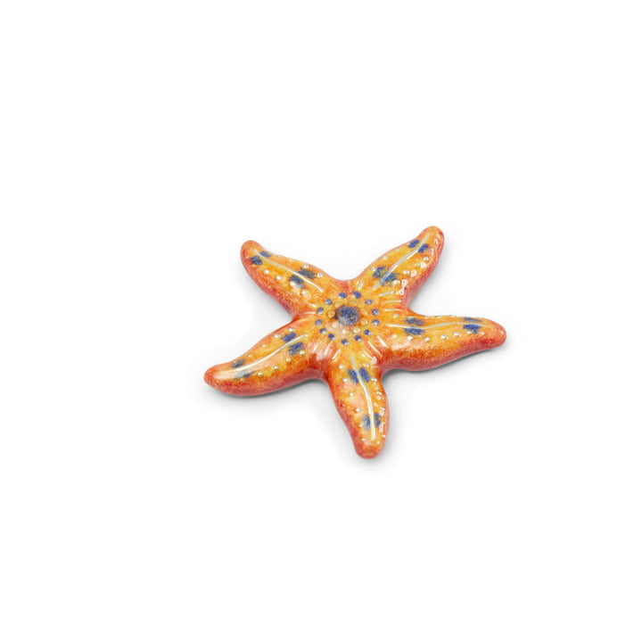 Saturno Silver & Enamelled Star Fish