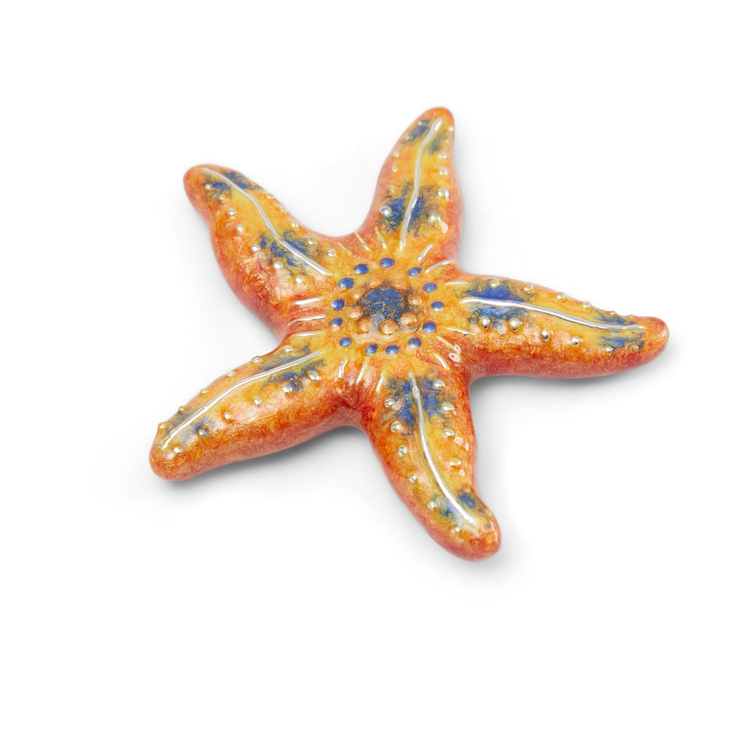 Saturno Silver & Enamelled Star Fish